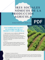 Factores Produccion Agricola