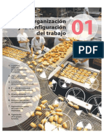 Organización Del Trabajo