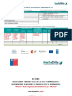 Formato Informe de Reduccion Organizaciones GEI 20210428