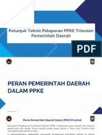 Petunjuk Teknis Pelaporan Triwulan Daerah