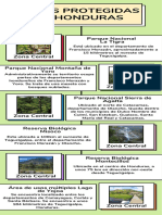 Infografía Sobre Áreas Protegidas de Honduras