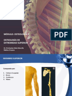 04 Osteología de Extremidad Superior