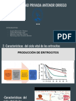 Fisio Grupo Expo 6