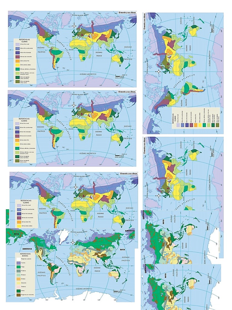 Climas y Biomas Del Mundo | PDF