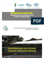 Teknologi Bioflok.02