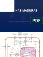 8 - Proteinas, Niveles Estructurales, Priones, Hbpatías