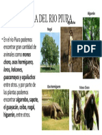Fauna y Flora Del Rio Piura