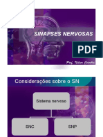 Sinapses Nervosas