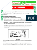 La Naturaleza para Sexto de Primaria