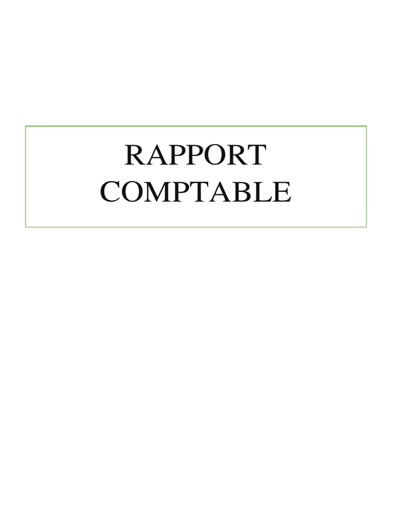 Rapport comptable des 4 derniers mois | PDF | Comptabilité | Facture