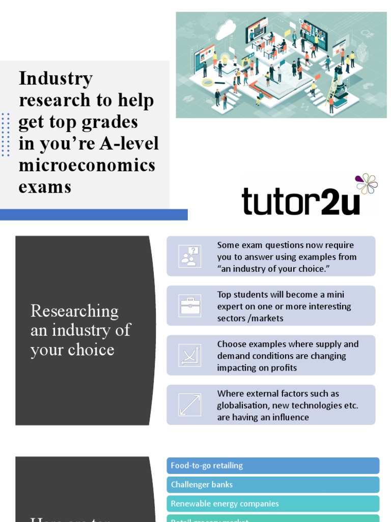 Micro Industry Profile PDF Microeconomics Market (Economics)