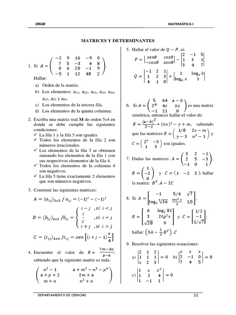Ejercicios de Matrices y Determinantes | PDF | Matriz (Matemáticas ...
