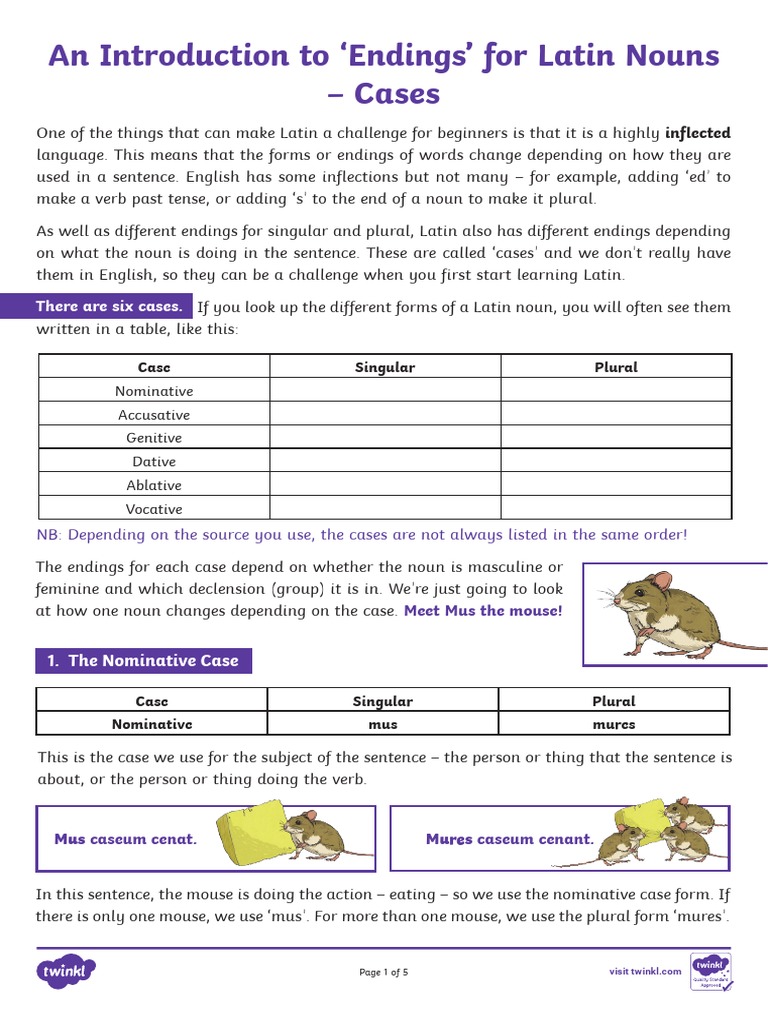 Understanding Latin Noun Cases | PDF | Semantics | Languages