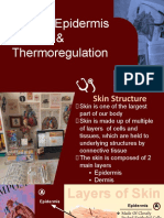 Type of Epidermis & Thermoregulation Basic