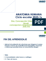 Anatomia Humana Ciclo Escolar 2023-1s: Dra. Concepción Vázquez Mora Email: Concepcion - Vazquezm@bdr - Unidep .Edu - MX