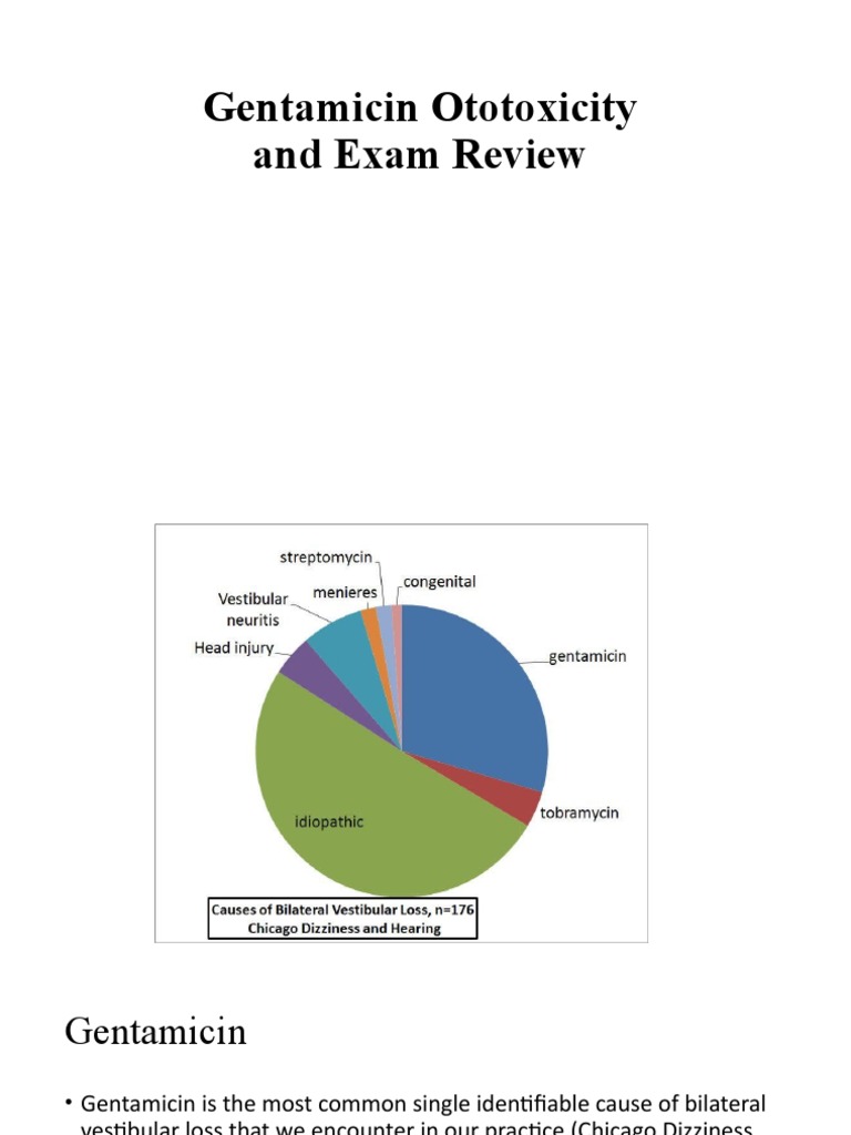 Gentamicin Ototoxicity Exam Review PDF Pharmacology Medical