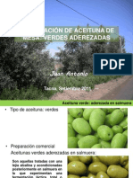 Elaboración de aceitunas verdes aderezadas