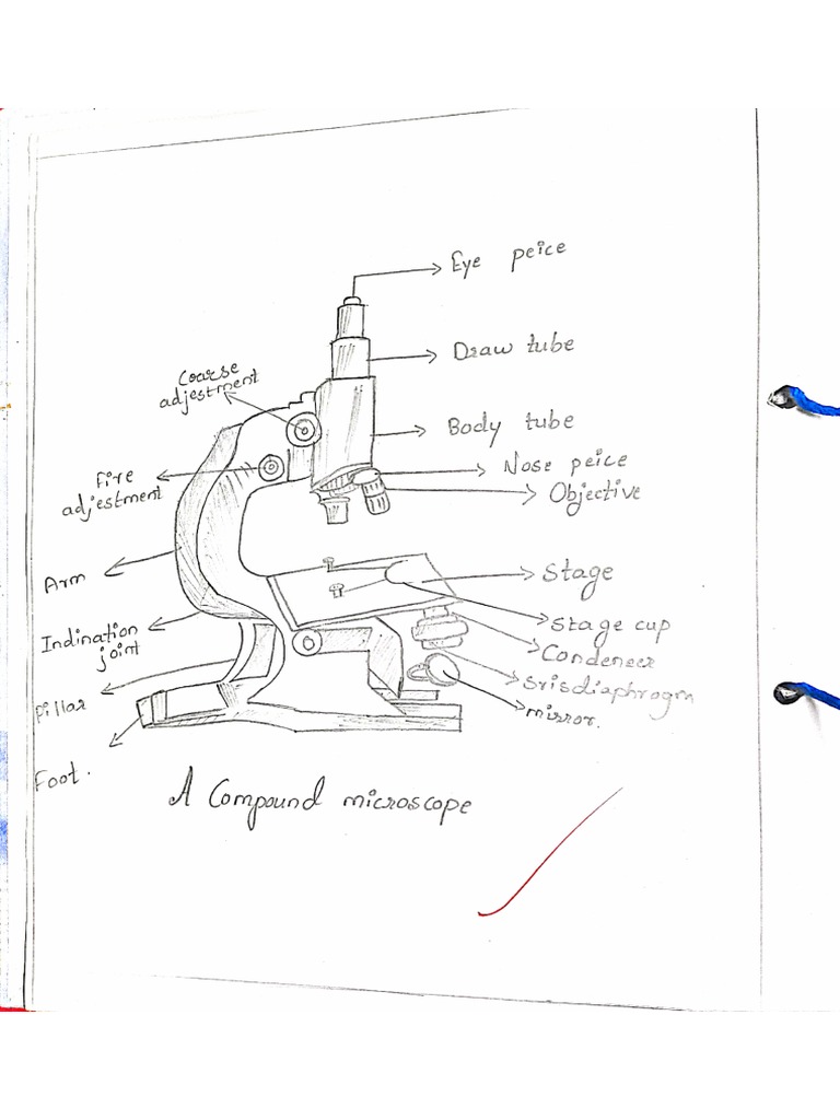 biology-practical-ix-pdf