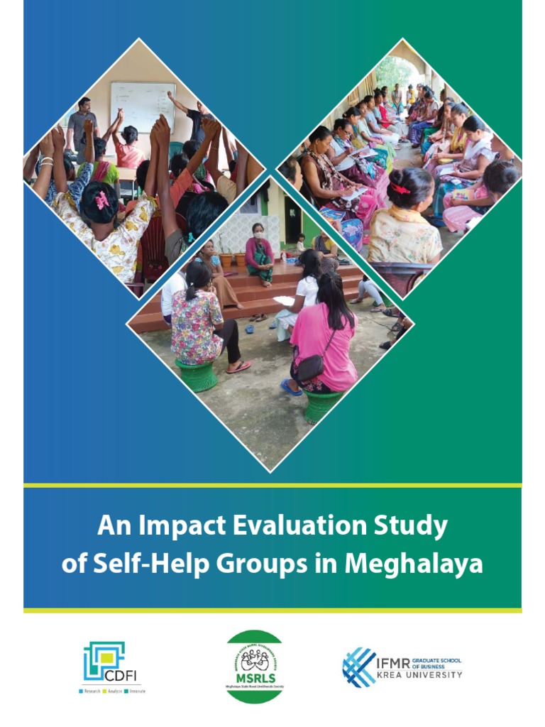 Impact Evaluation Study Report | PDF