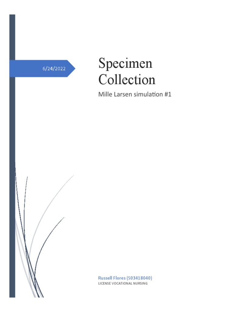 Mille Larsen Specimen Collection PDF Urinary Tract Infection