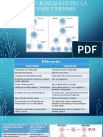 La Diferencias Entre La Meiosis y Mitosis