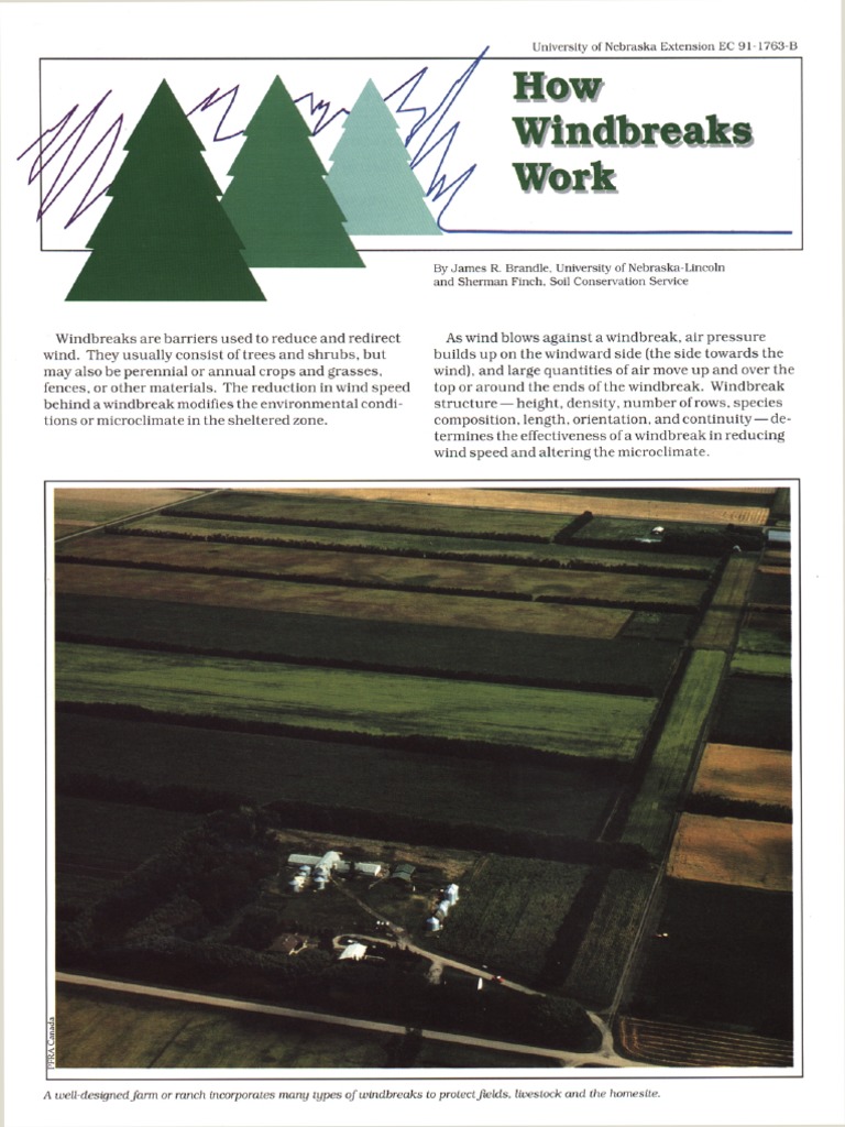 How Windbreaks Work PDF