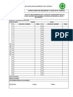 Formatos de Seguridad Charla y Check List - Torrine