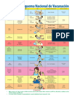 Esquema de Vacunacion