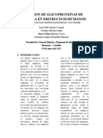 Deteccion de Glicoproteinas de Membrana en Eritrocitos Humanos