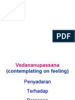 Vedananupassana