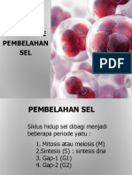 Mekanisme Pembelahan Sel