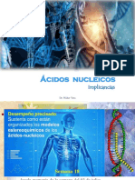 Sem_18_Acidos_nucleicos_cont