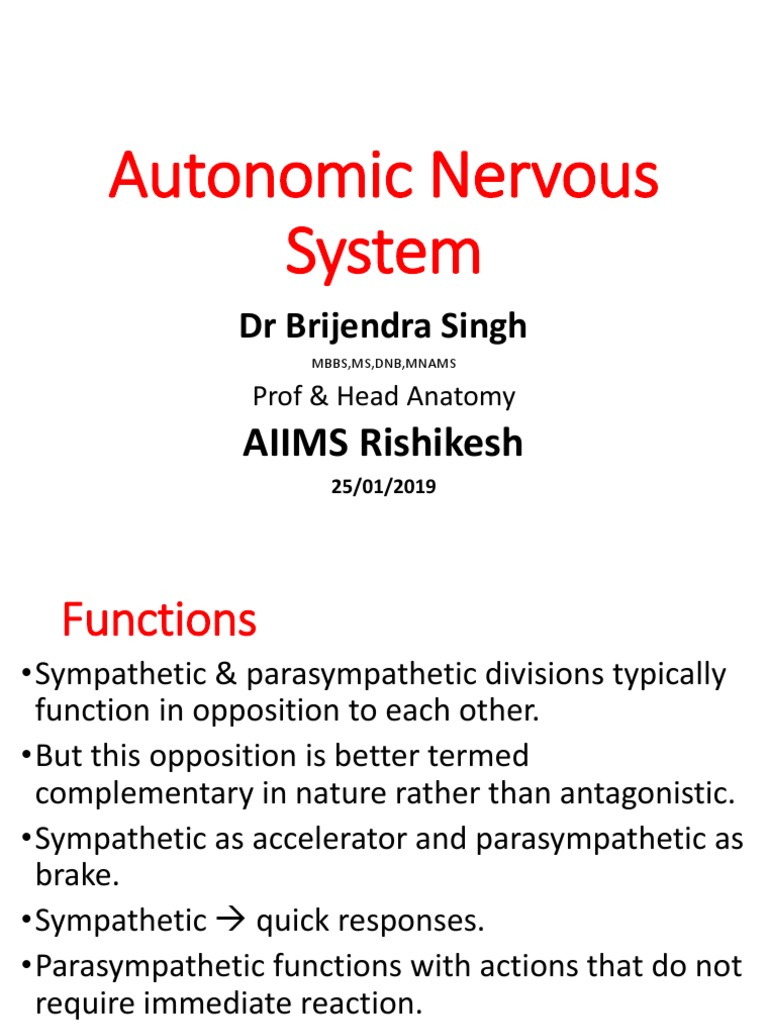 Understanding the Autonomic Nervous System | PDF | Acetylcholine ...