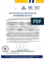 Certificacion Curso Maniobras Izaje Alejandro Ulloa