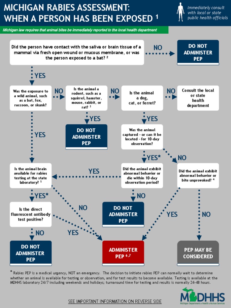 Rab Flow CHT 3 People | PDF | Rabies | Public Health
