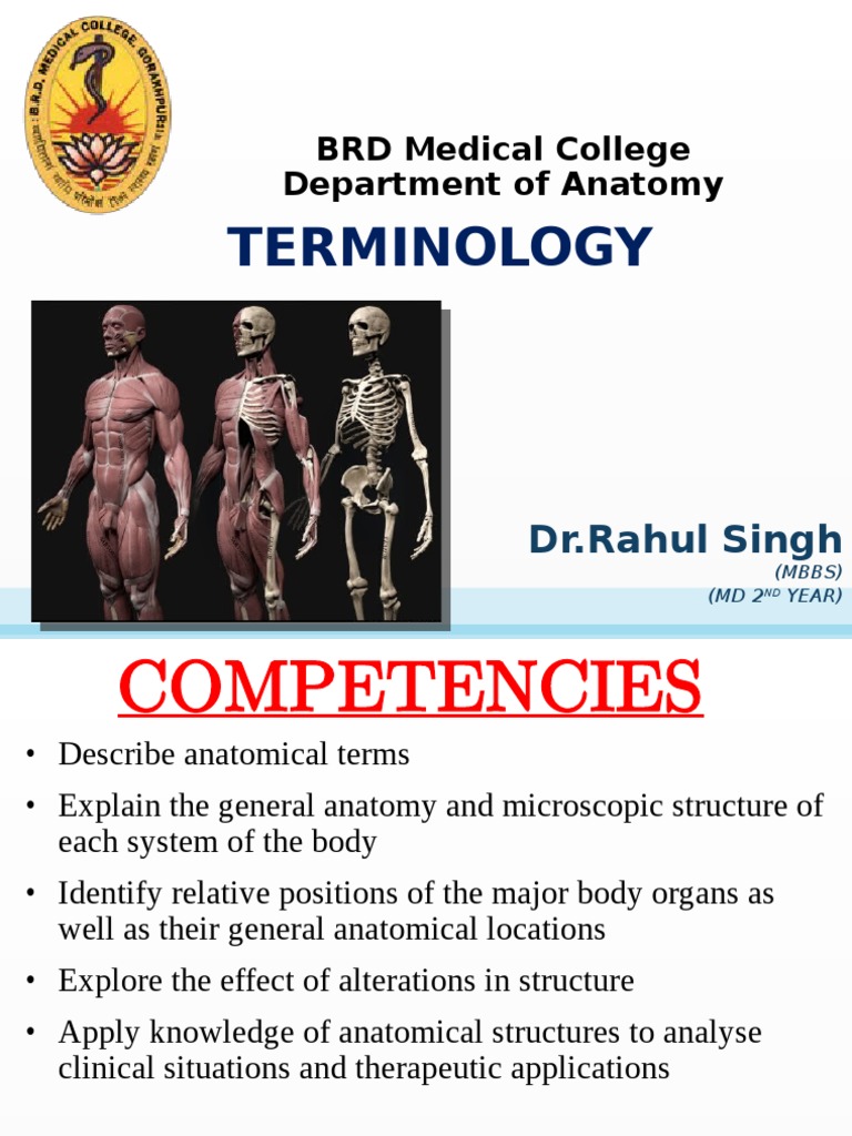 WHAT IS THE DIFFERENCE BETWEEN TERMINOLOGY AND DEFINITIONS intelligence overview