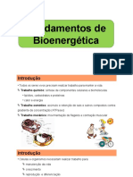 Princípios de Bioenergética e Digest de Carboidratos