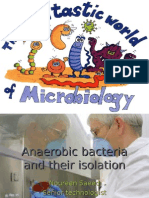 Anaerobic Bacteria