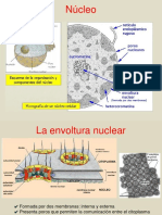 CBC 08 2023 Parte 2-2 PWP