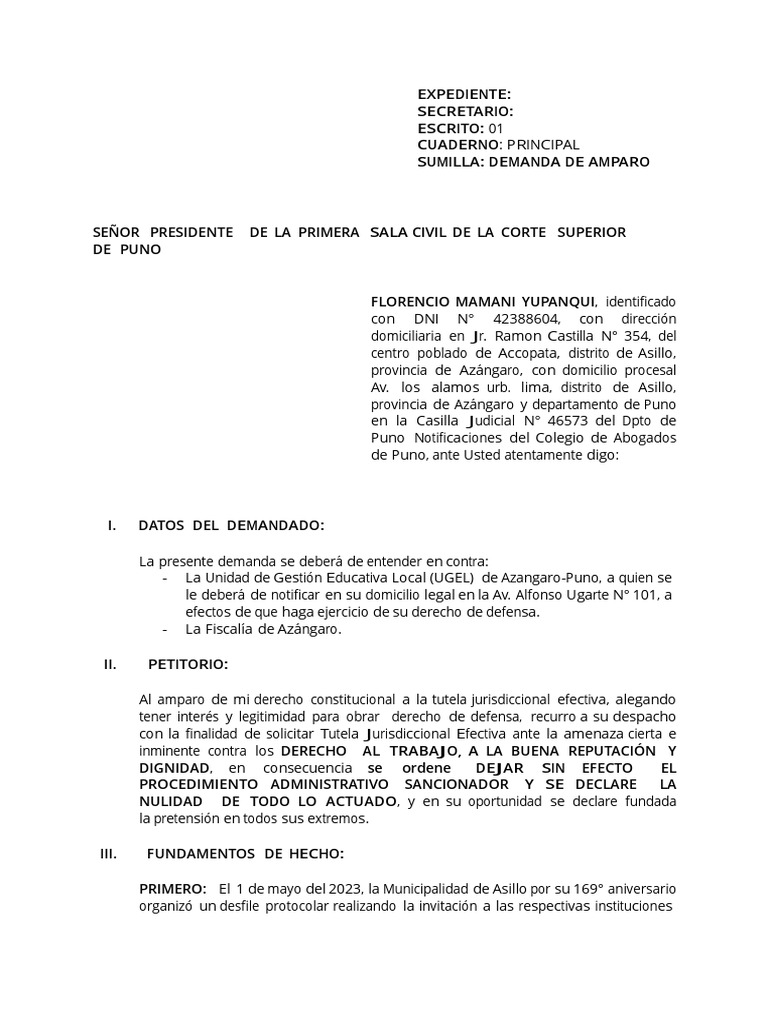 Amparo t3 Proce Const | PDF
