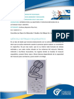 Tarea 4 S 3 U 2anatomia