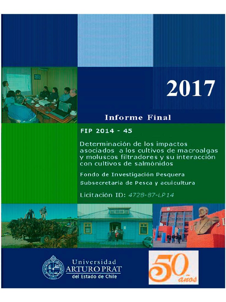 Articles-89403 Informe Final | PDF