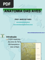 Anatomia Das Aves