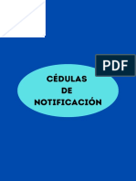 Modelo Cédulas