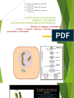 Sem 10 - Origen de La Aneuploidias. No Disyunción Primaria y Secundaria