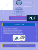 Esqueleto Axial-Grupo 1