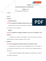 Informe Estandarizado de La Tasa de Reacción (Química)