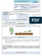 Planeacion Naturales 5 Al 16 de Junio