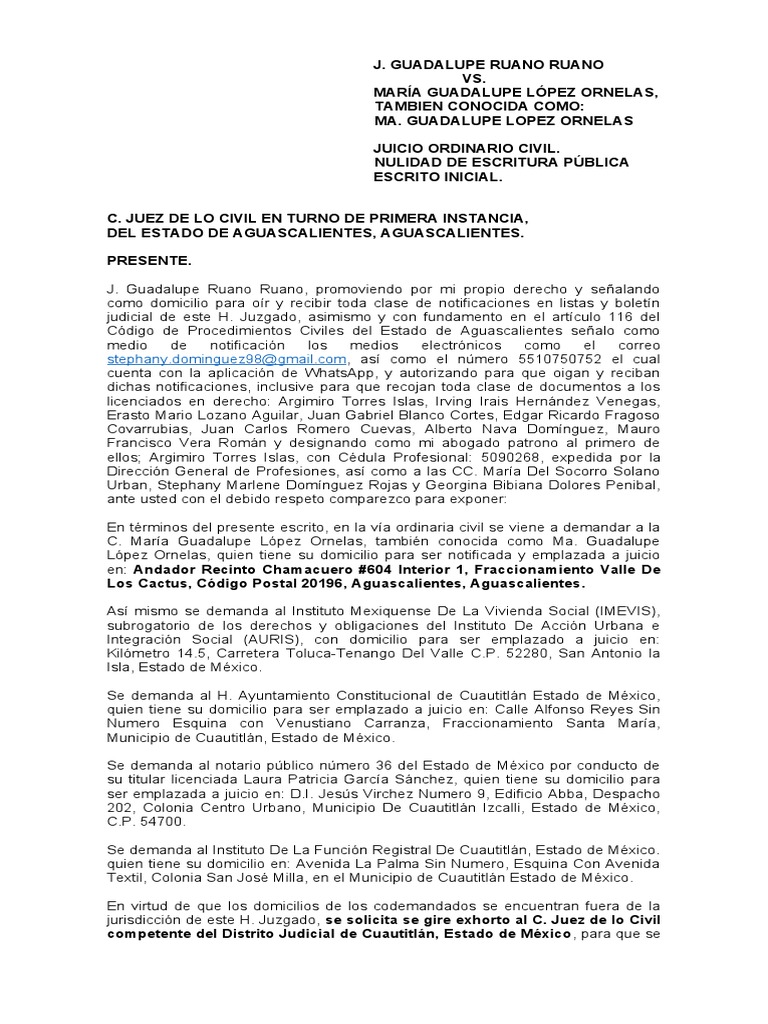 Demanda Nulidad J. Guadalupe Ruano Ruano | PDF
