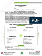 Emotional Intelligence Background